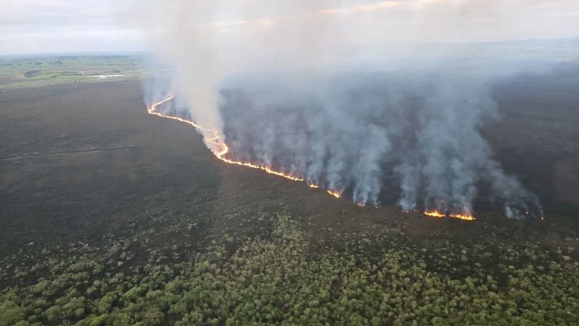 Firefighters battle huge blaze tearing through New Zealand wetland home to threatened species