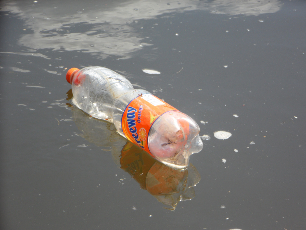 Egypt’s plastics and the Trump straw debate
