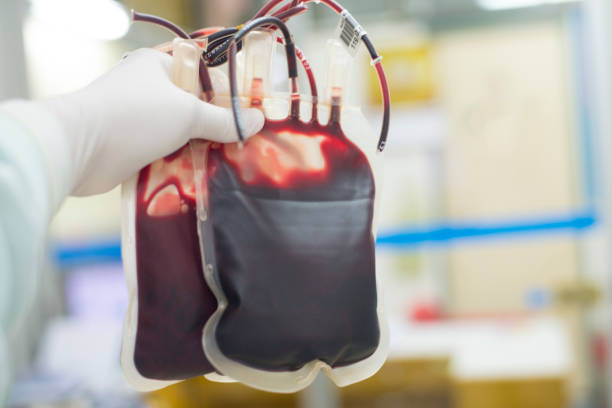 A drop of blood – Egypt’s vision for a mobile blood bank