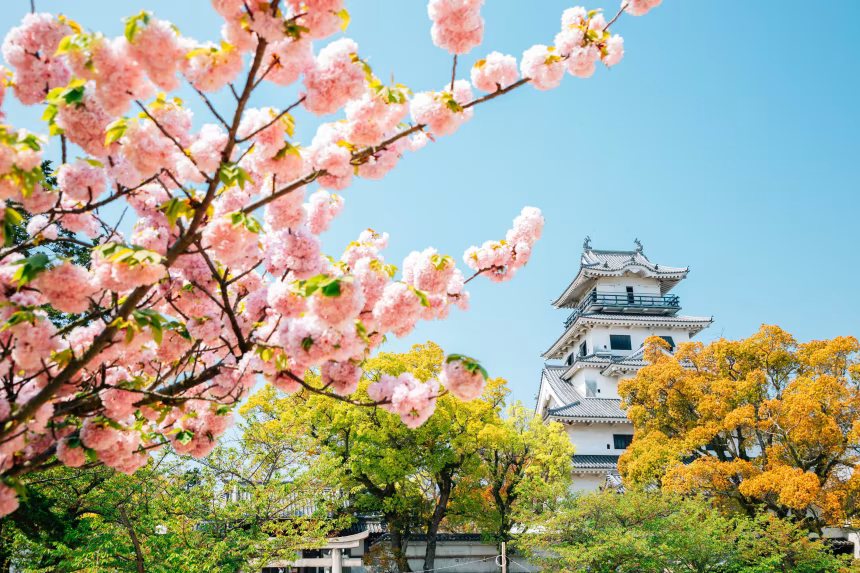 Japan denies giving away city to Tanzania after misinformation sparks anti-immigration backlash