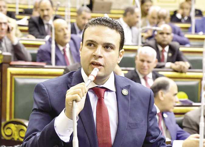 First parliamentary action issued regarding funds of Egyptians expats in &lsquo;Beit al-Watan&rsquo;