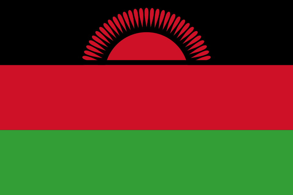 FM says Egypt keen to strengthen cooperation with Malawi’s new govt