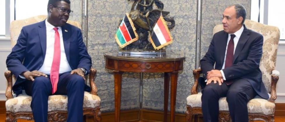 FM affirms Egypt&rsquo;s full support for efforts to achieve security, stability in South Sudan