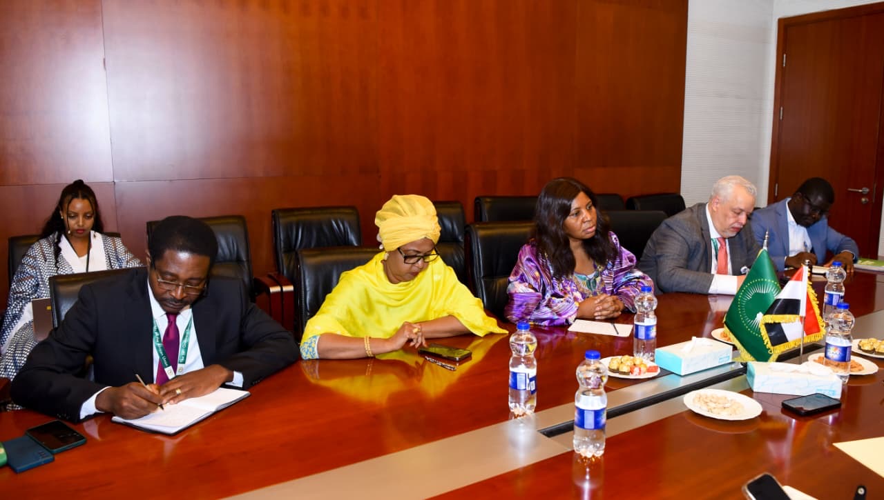 FM says Egypt supports AU’s G20 role