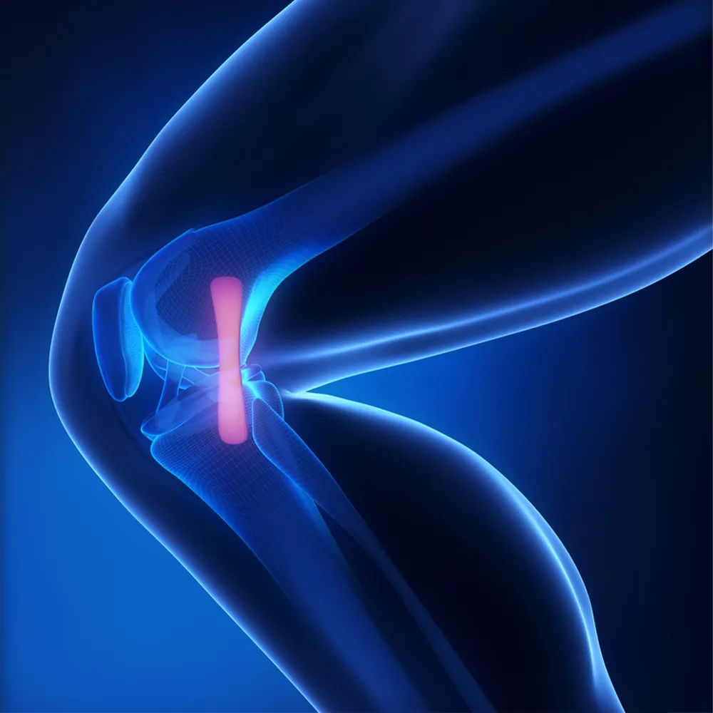 Health Minister orders faster supply of knee & hip joints to clear surgical backlogs