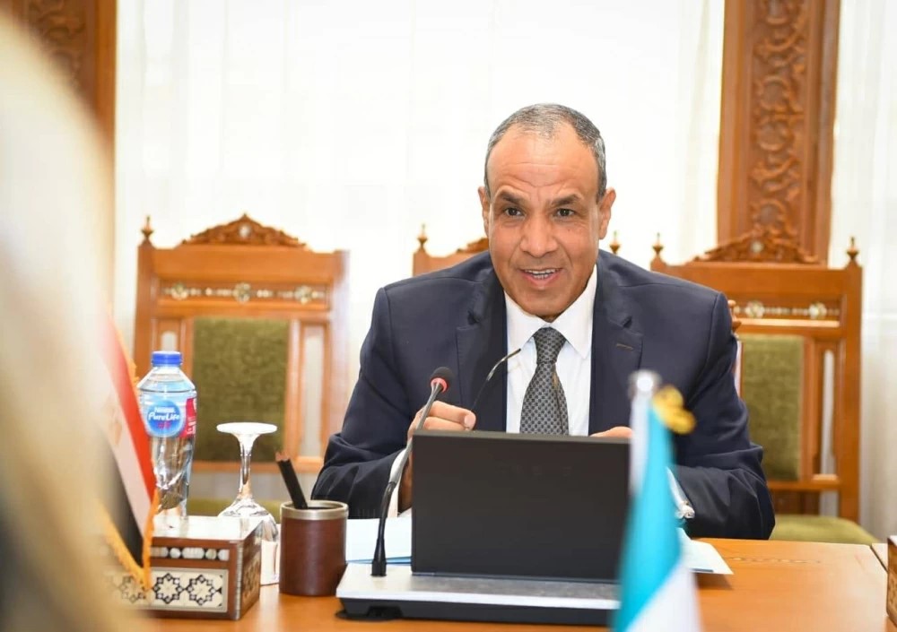 Egypt FM stresses need to activate joint Arab defense agreement