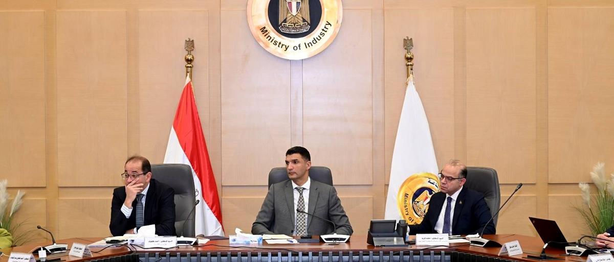 Industry, investment, finance ministers review automotive industry development program