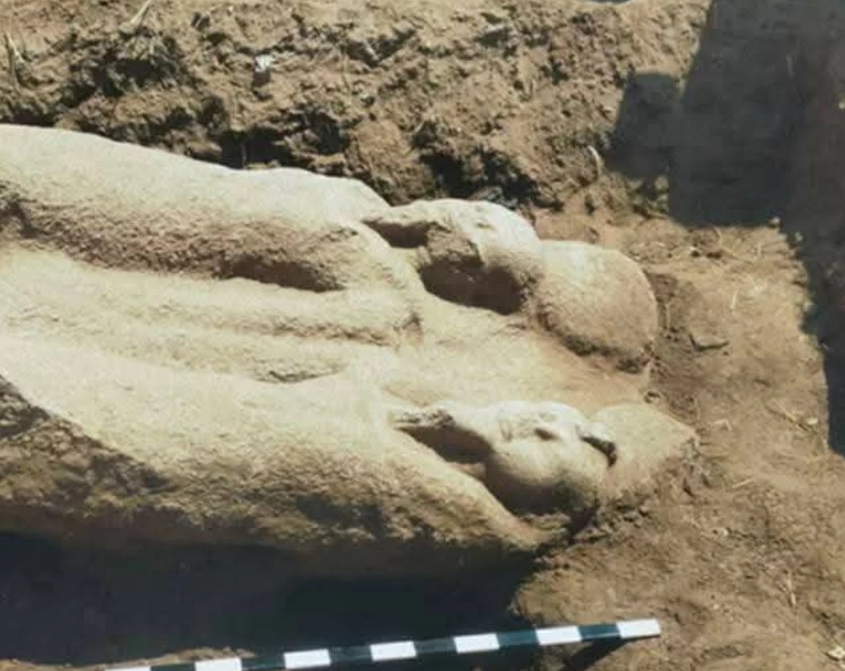 Archaeologists uncover massive Ramses II statue in Sharqiya
