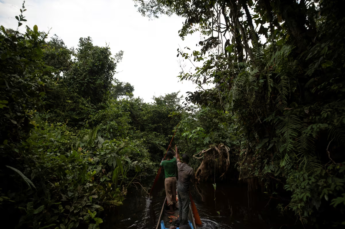 How bushmeat, burial rites and disinformation make the DRC an Ebola hotspot