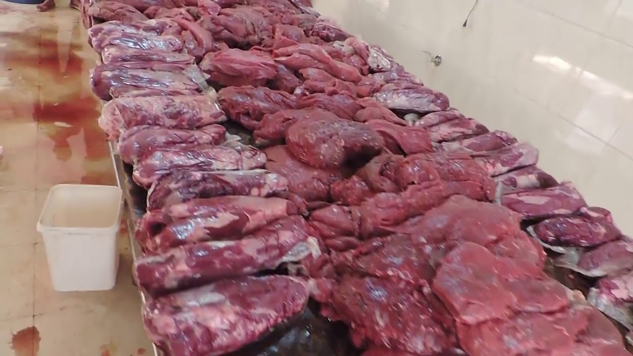 Veterinary head debunks reports of dog meat being sold for human consumption in Egypt