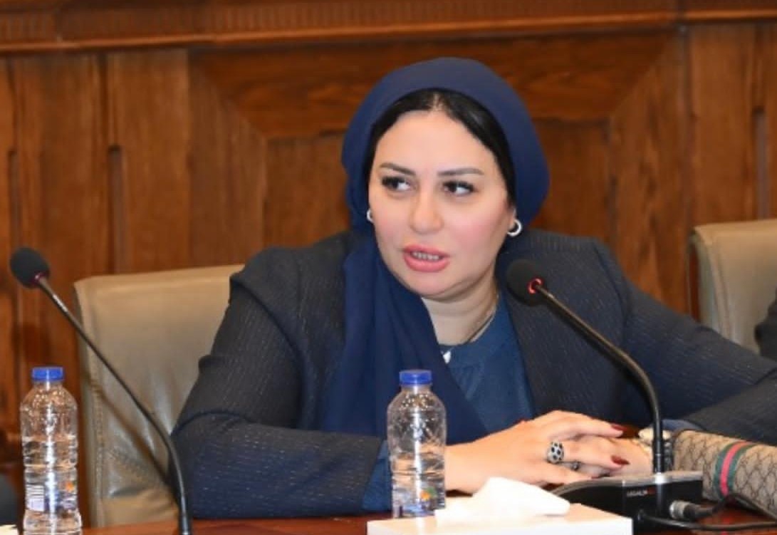 Egyptian MP proposes replacing ‘housewife’ on national ID with ‘generation maker’ Egyptian MP proposes replacing ‘housewife’ on national ID with ‘generation maker’