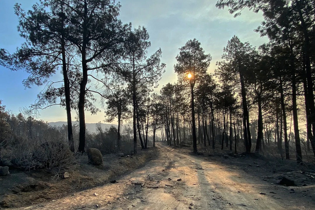 Madrid wildfires advancing more slowly but remain “uncontrolled,” authorities say Madrid wildfires advancing more slowly but remain “uncontrolled,” authorities say