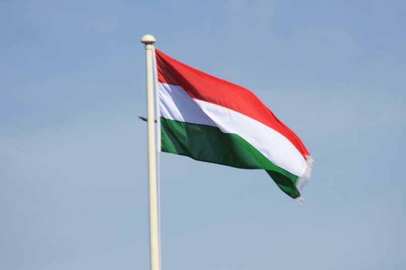Egyptian, Hungarian FMs discuss bilateral ties, regional developments